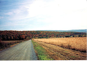 Macadam country road Shari Weinsheimer (1 Octo...