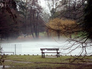Sit and meditate