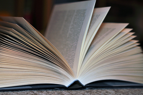 204/365 - Bookworm