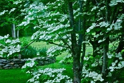 20110429-090737.jpg