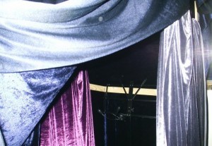  Dressed in its beautiful velvet garb