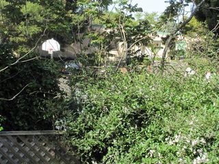 IMG_2420
