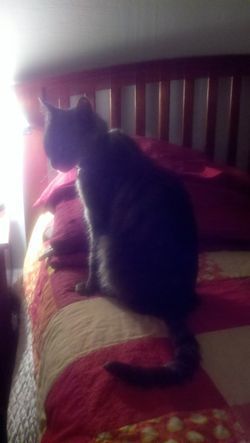 2011-04-27_20-07-18_341