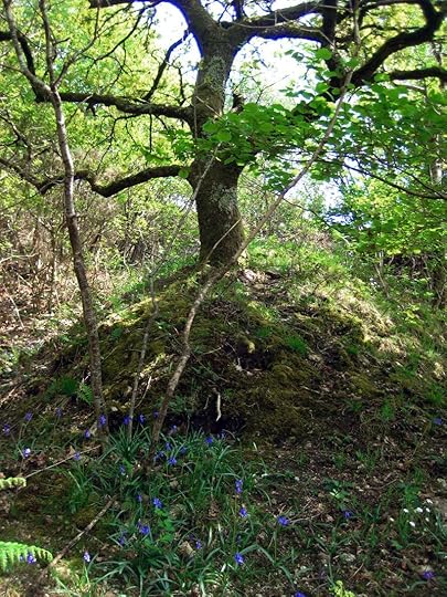 Fairy tree