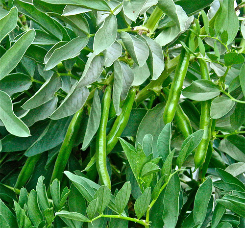P5030209