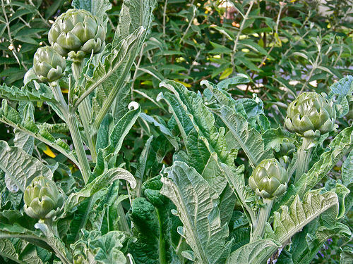 P5030215