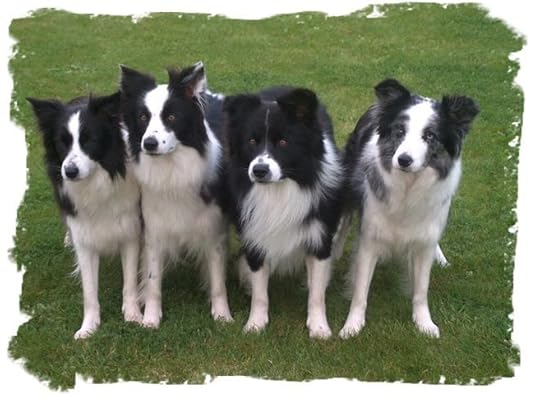 dogs