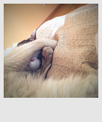 Barnabas Being Cute