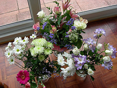 Flowers