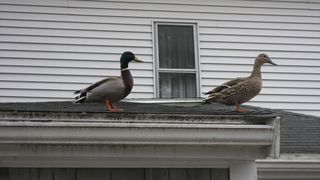 IMG_0107