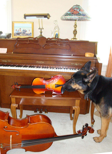 magic & instruments