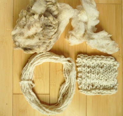 Southdown dirty and clean fiber, yarn and knited swatch