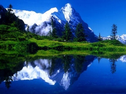 20110511-010344.jpg