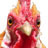 chicken big