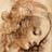 Davinci donna