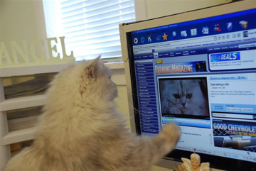Myster E. Watching TV 019