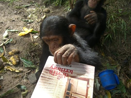 chimpdevil3