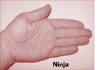 The gesture for ninja