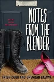 Blender cover