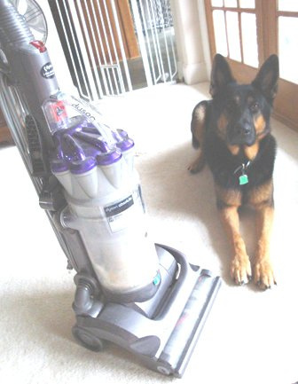 10-13 Magic + vacuum