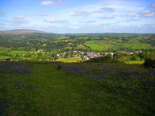 Bluebell hill 5