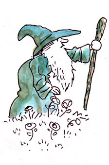 Druid