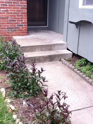 Image1