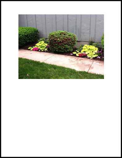 Image1
