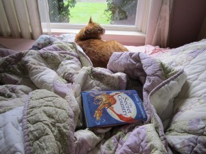 Book in Bed with Cat