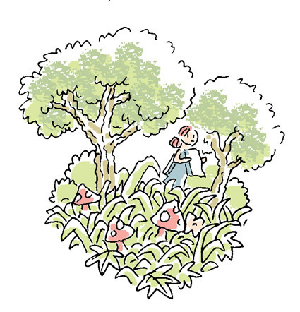 Forest