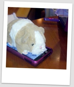 The Guinea Pig of Creation