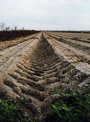 Truck Tracks