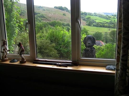 Window view