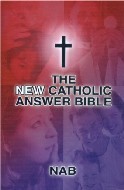 http://2.bp.blogspot.com/_FOIrYyQawGI/SjqQtMoVaKI/AAAAAAAAB5Q/kliDaH6Z-8M/S1600-R/NewCatholicAnswerBible+(sidebar).jpg