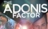 adonis-factor-tiny