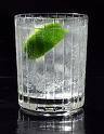 Gin and tonic