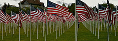 Memorial Day Flags