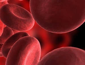 Blood