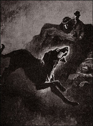 The Hound of the Baskervilles