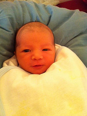 Photogenic Felix, 5-31-11
