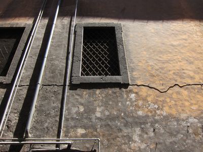 IMG_1410