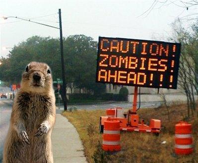Zombie-squirrel1