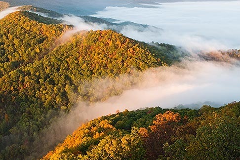 7-740-744 stock photo of Kentucky, Southeast, Cumberland Gap National Historical Park, Morning fog