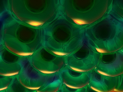 cells