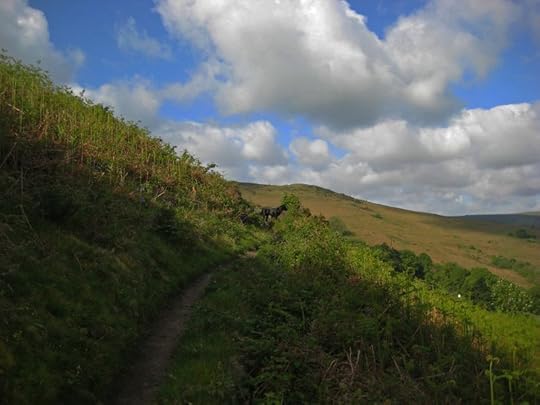 Tilly in the clouds