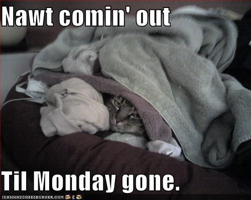 Not Coming Out