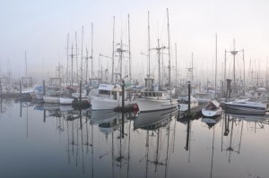 Fog creeps into a Vancouver marina