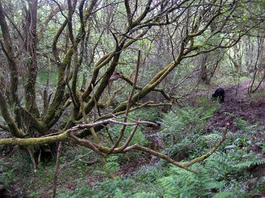 Muddy walk 2