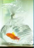 Images_2