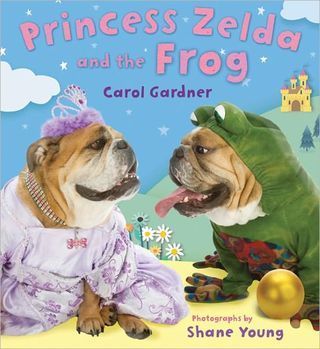 Princess Zelda Book Cover